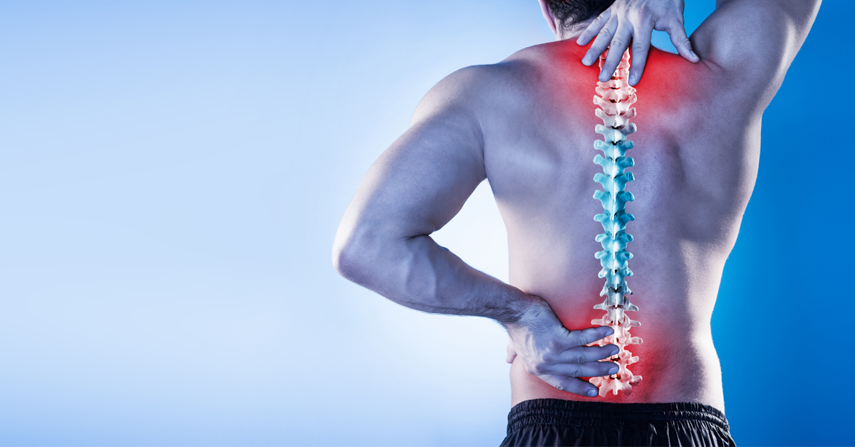 10 Exercises That Fix Posture and Relieve Back Pain