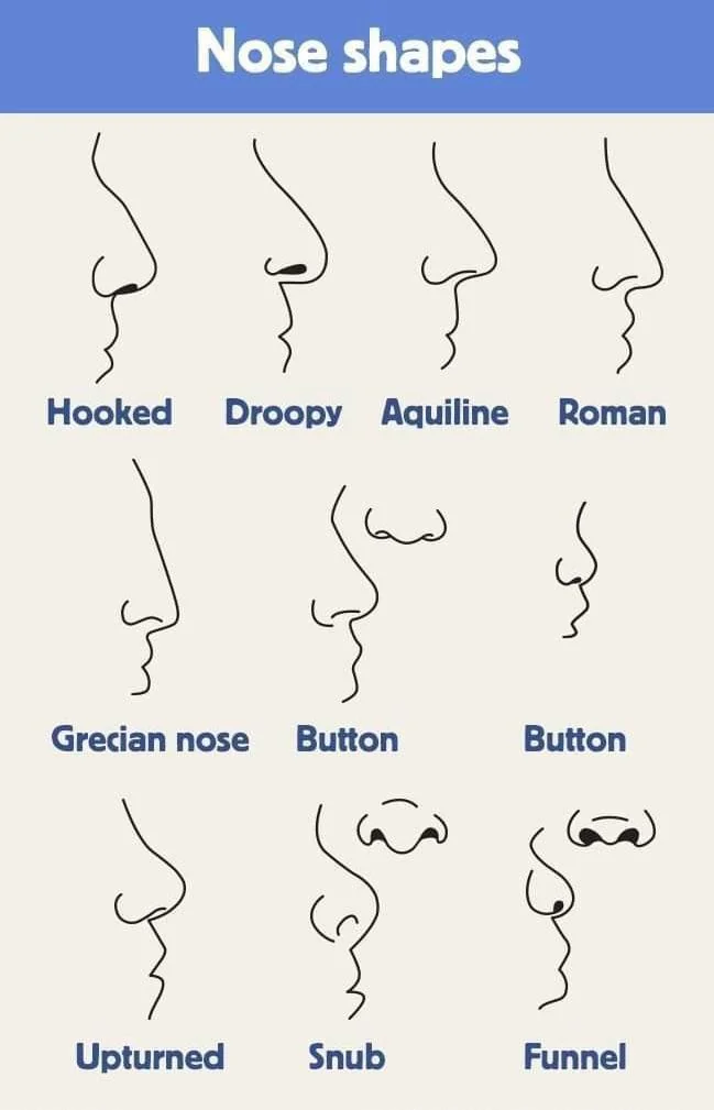 Select Your Nose Shape And We'll Tell You About Your Personality - DocPe